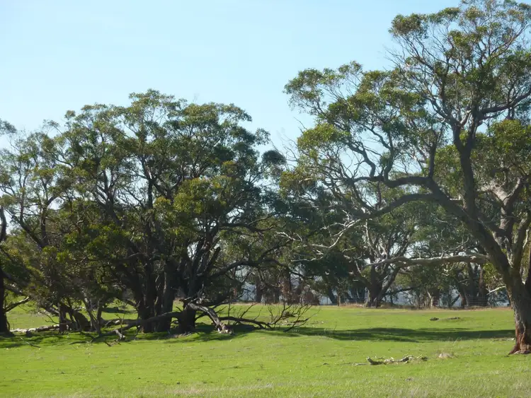 300 Yulte Road, Myponga SA 5202