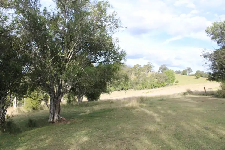 Second view of Homely rural property listing, 975 Killarney Barlows Gate Rd, Elbow Valley QLD 4370