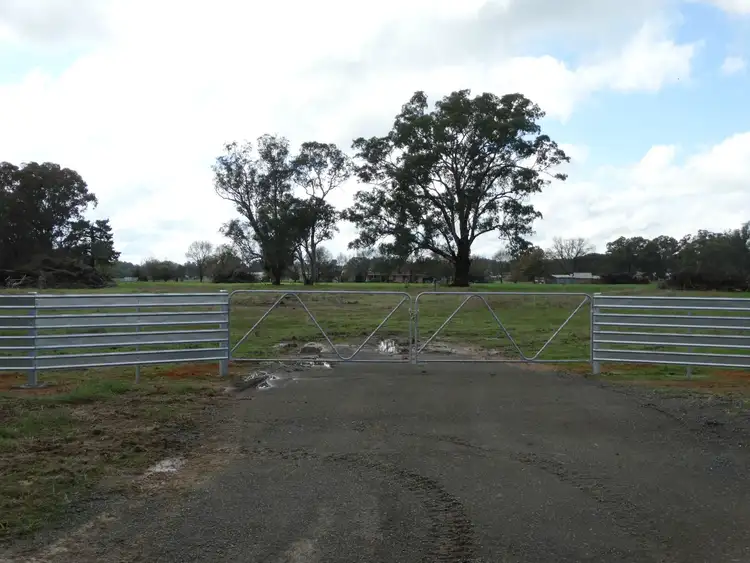 Second view of Homely rural property listing, L134 Morgans Road, Walla Walla NSW 2659