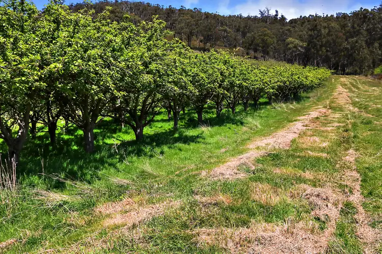 Fifth view of Homely land listing, 142178/3 Scotts Road, Geeveston TAS 7116