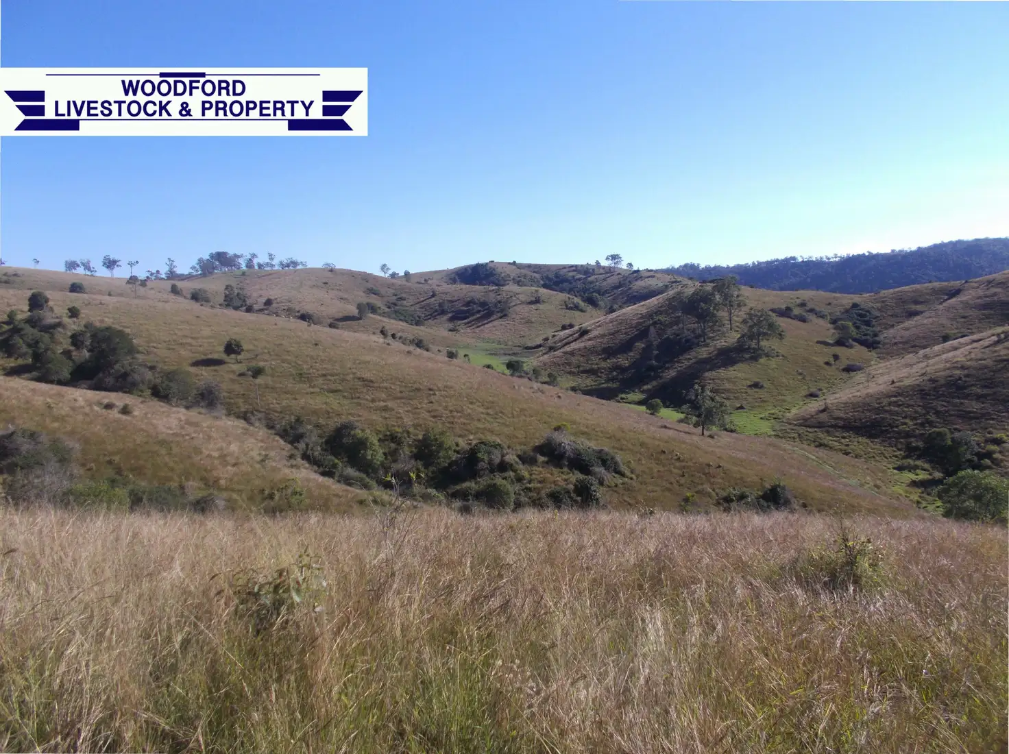 Main view of Homely rural property listing, Address available on request