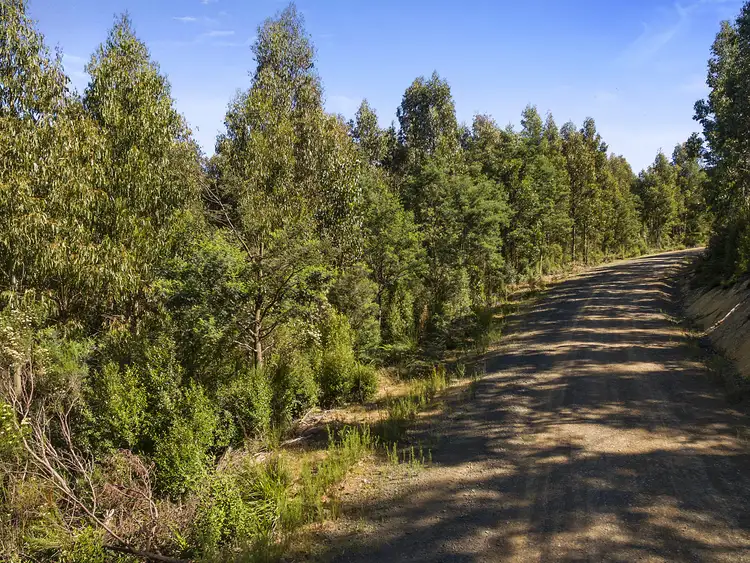 Second view of Homely land listing, 36587/1 Oigles Road, Geeveston TAS 7116