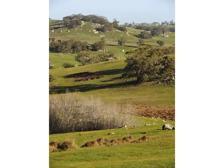 Seventh view of Homely rural property listing, Address available on request