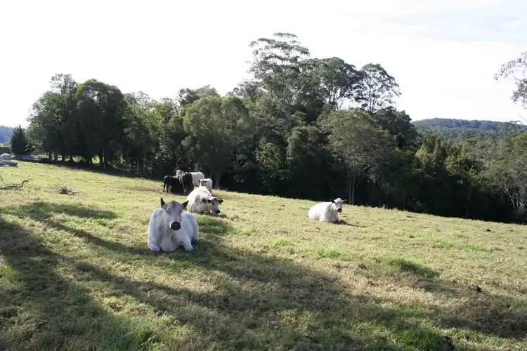 Seventh view of Homely rural property listing, L3 Neilson Lane, Lorne NSW 2439