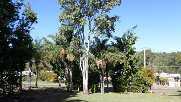 Main view of Homely land listing, L109 Mcgibbon Street, Apple Tree Creek QLD 4660