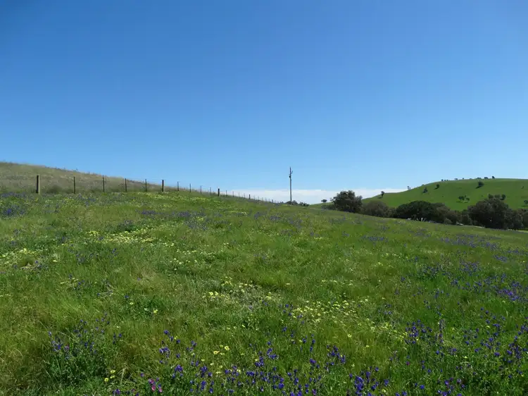 Fourth view of Homely land listing, 1600 Murray River Road, Talgarno VIC 3691