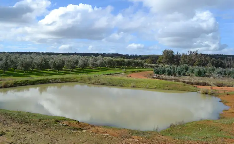 Fifth view of Homely rural property listing, L1 Donnybrook-Boyup Brook Road, Mumballup WA 6225