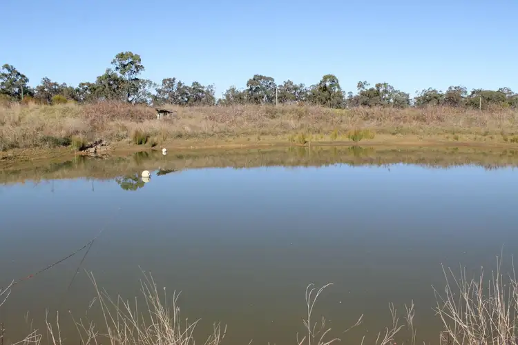 Sixth view of Homely rural property listing, 1335 Warwick Yangan Road, Warwick QLD 4370