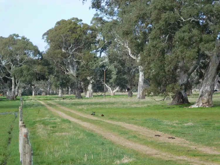 Third view of Homely rural property listing, Lot 13 Casterton Road, Penola SA 5277