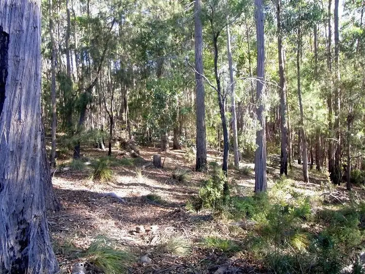 Second view of Homely rural property listing, L84 Oaklands Road, Pambula NSW 2549