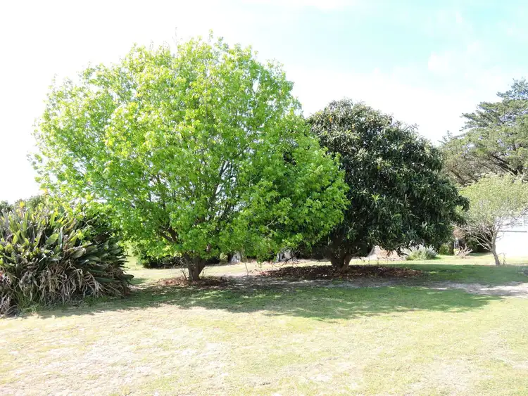 Fifth view of Homely rural property listing, 694 Hay Flat Road, Hay Flat SA 5204