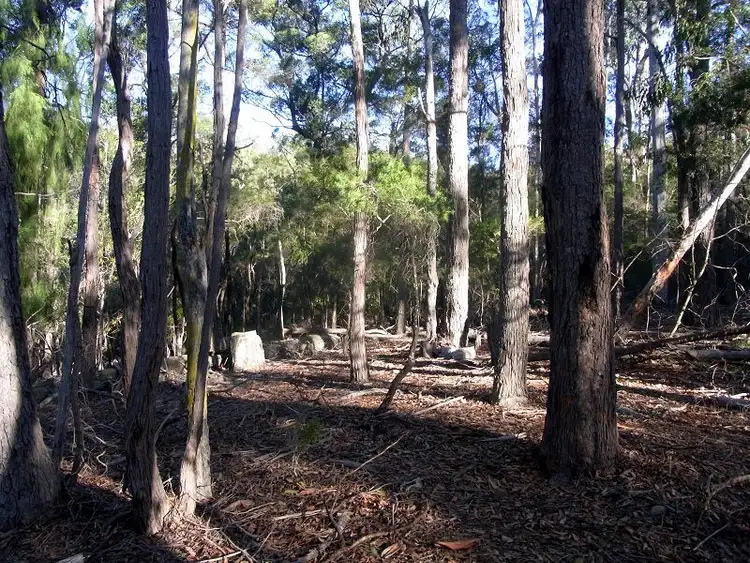 Fourth view of Homely rural property listing, L89 Oaklands Road, Pambula NSW 2549