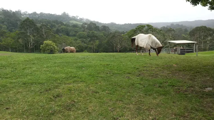 Fifth view of Homely land listing, 80 Spring Pastures Drive, Mapleton QLD 4560