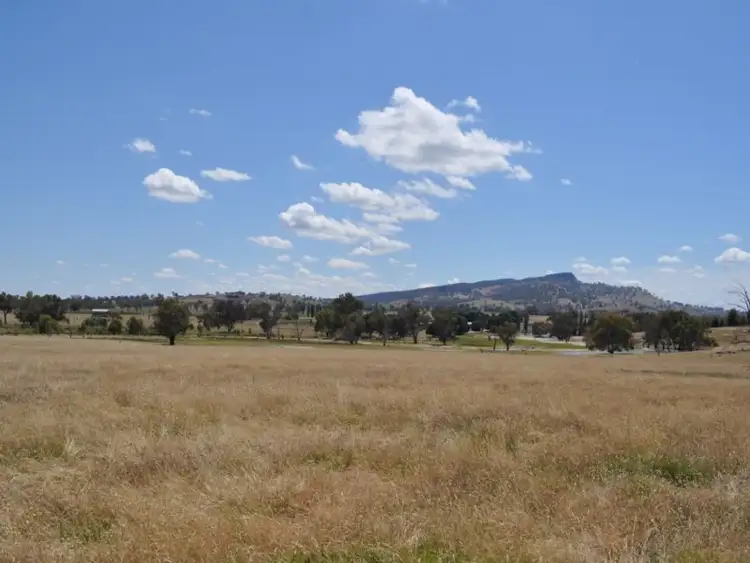 Seventh view of Homely rural property listing, . Burma Road, Table Top NSW 2640
