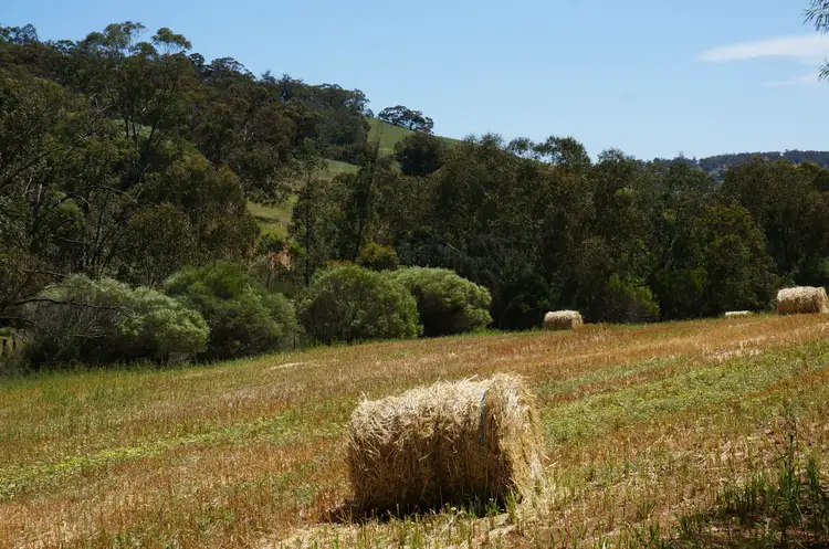 Fifth view of Homely land listing, Lot 101 Cobbler Pool Road, Toodyay WA 6566