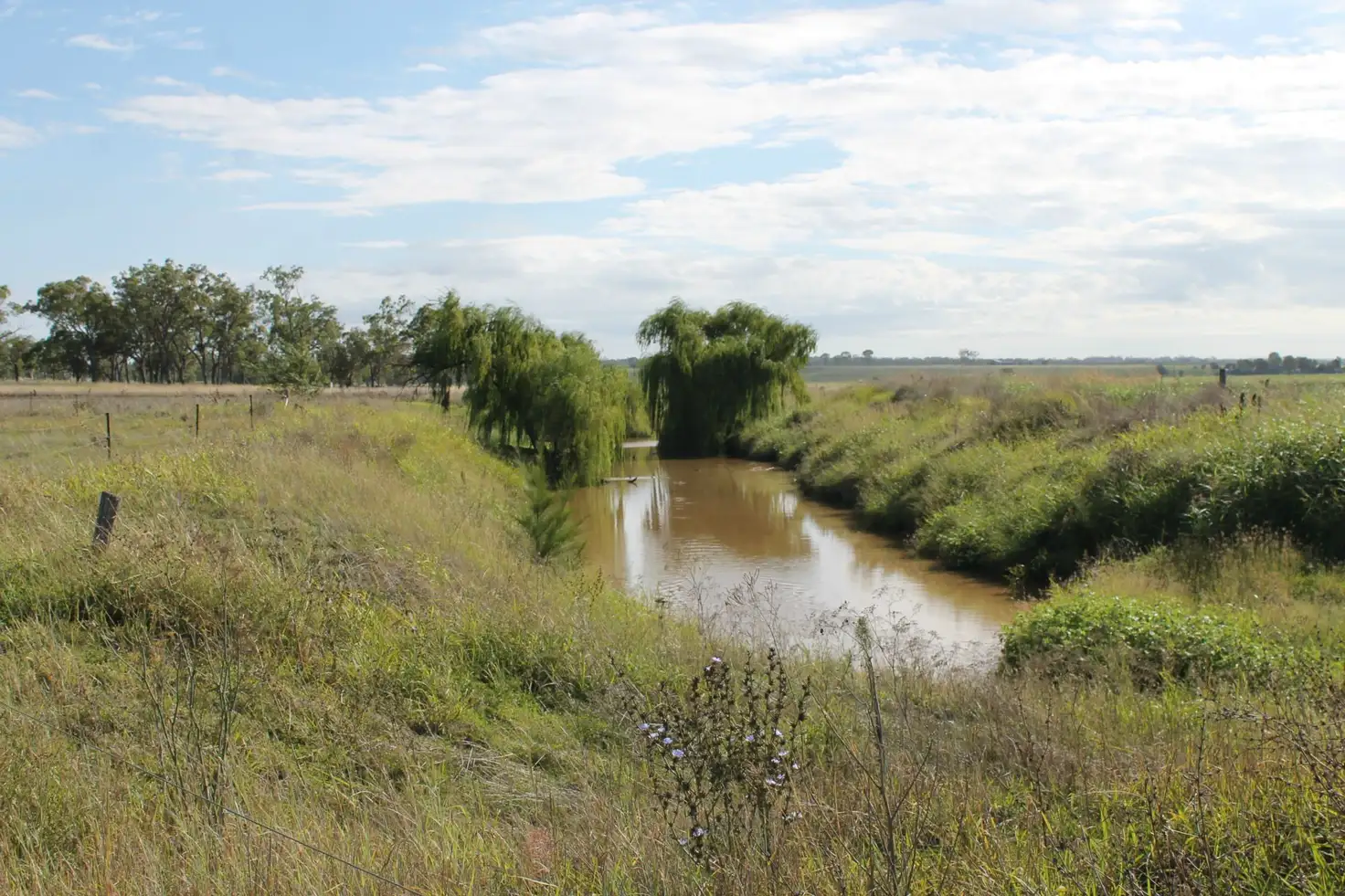 Main view of Homely rural property listing, 657 Upper Wheatvale Rd St, Massie QLD 4370