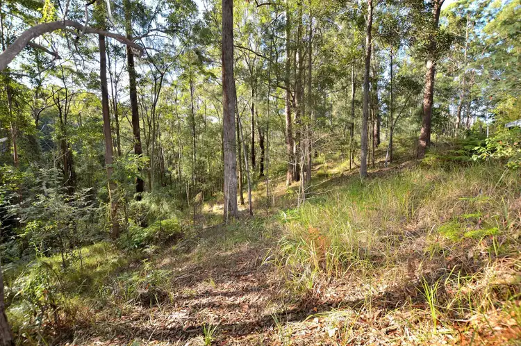 Fourth view of Homely land listing, 62 Rambert Road, Eudlo QLD 4554