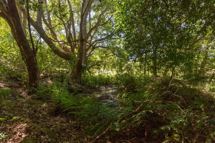 Sixth view of Homely land listing, 373 Richmond Hill Road, Richmond Hill NSW 2480