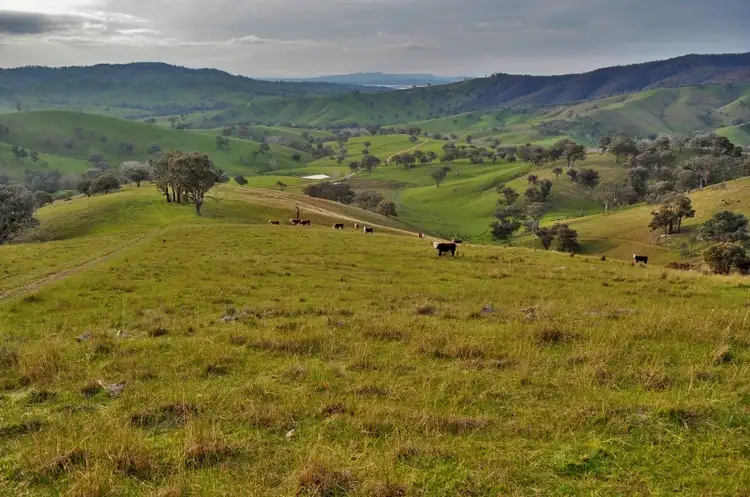 Main view of Homely rural property listing, Jurys - Packers Road, Bethanga VIC 3691