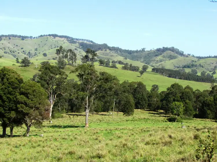 Third view of Homely rural property listing, 730 Bunyah Road, Bunyah NSW 2429