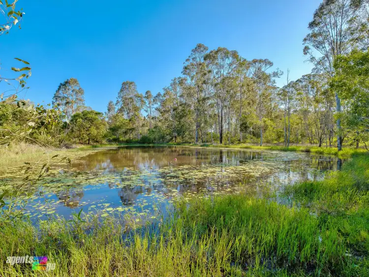 Sixth view of Homely rural property listing, 2 Paterson Road East, Paterson QLD 4570