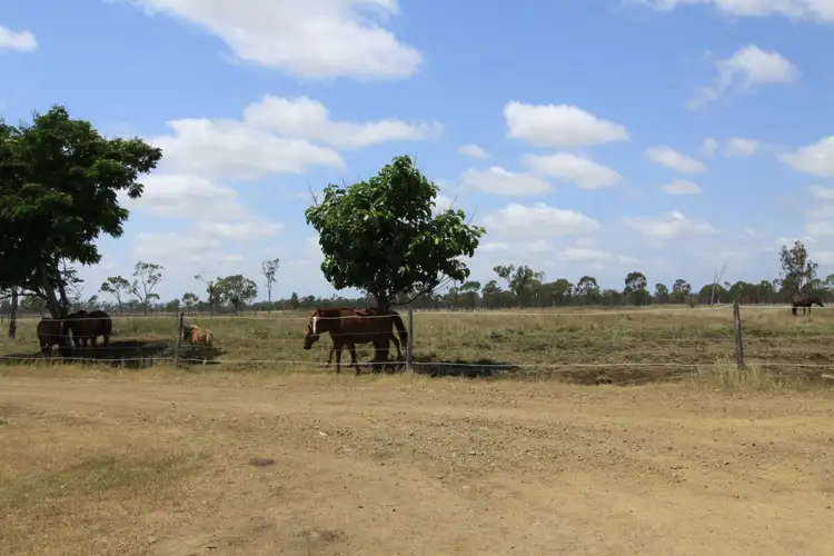 Seventh view of Homely rural property listing, 560 Alton Downs - Nine Mile Road, Alton Downs QLD 4702