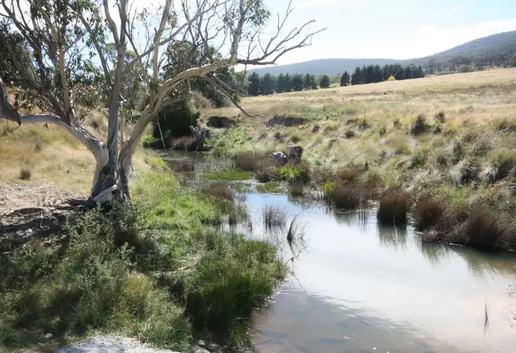 Second view of Homely land listing, 55 Daniel Lane, Forbes Creek NSW 2621