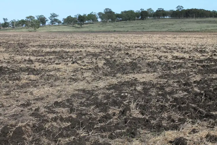 Third view of Homely rural property listing, 657 Upper Wheatvale Rd St, Massie QLD 4370