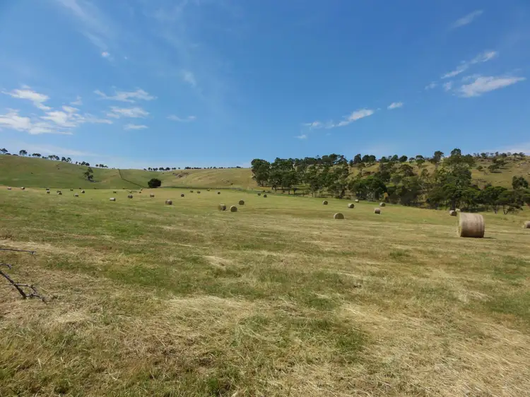 359 Scrubby Hill Road, Highland Valley SA 5255