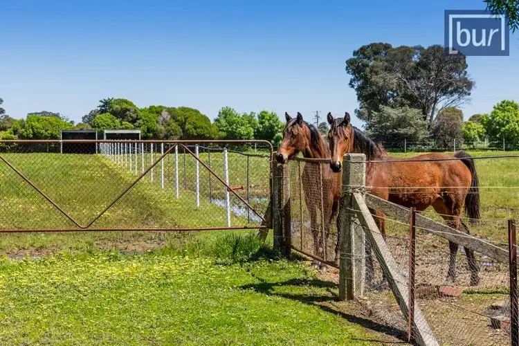 Fifth view of Homely rural property listing, Galactic Park - Murray Valley Highway, Rutherglen VIC 3685