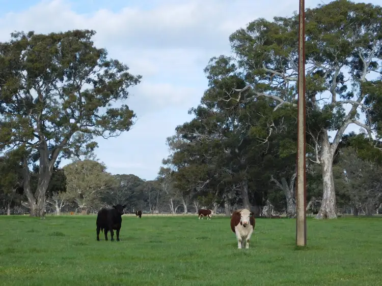 Fifth view of Homely rural property listing, Lot 13 Casterton Road, Penola SA 5277