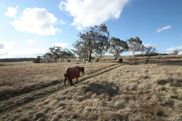 Fourth view of Homely rural property listing, 6 Dog Rock Close, Mulloon NSW 2622