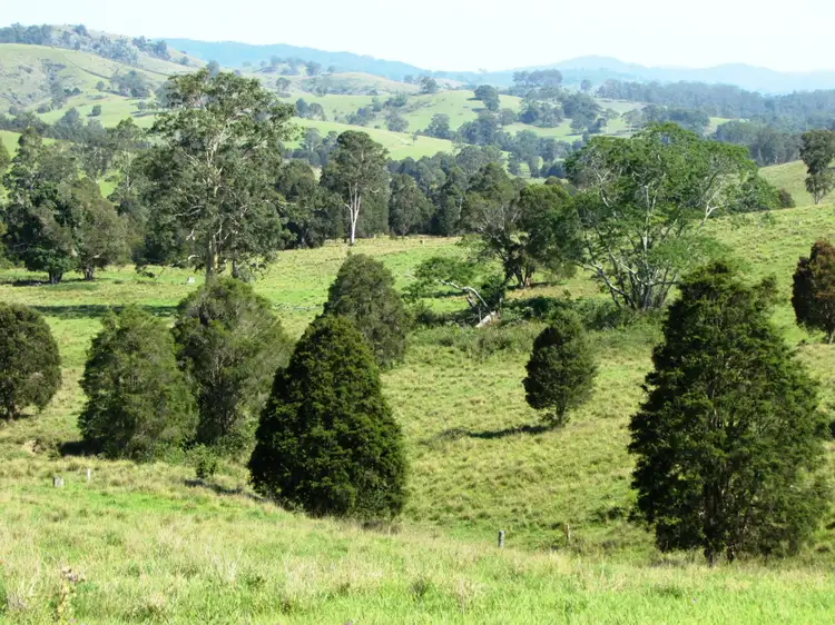 Sixth view of Homely rural property listing, 730 Bunyah Road, Bunyah NSW 2429