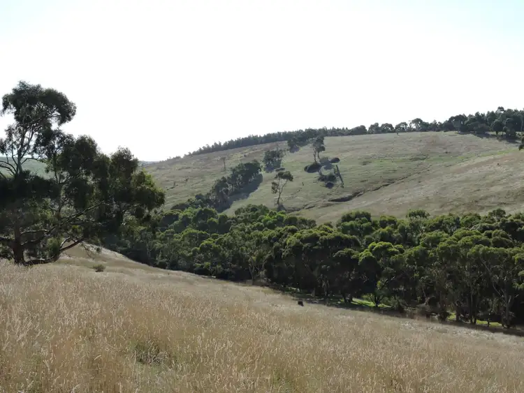 Sixth view of Homely rural property listing, Lot 23 Forktree Road, Wattle Flat SA 5203
