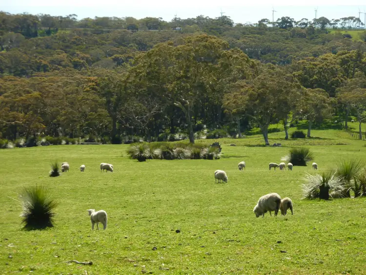 Second view of Homely rural property listing, Lot 13 Range Road West St, Normanville SA 5204