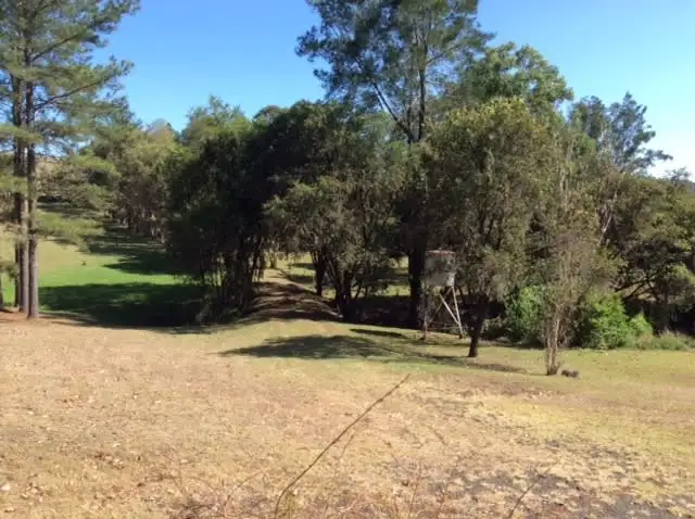 Seventh view of Homely rural property listing, 190 Homeleigh Rd, Kyogle NSW 2474