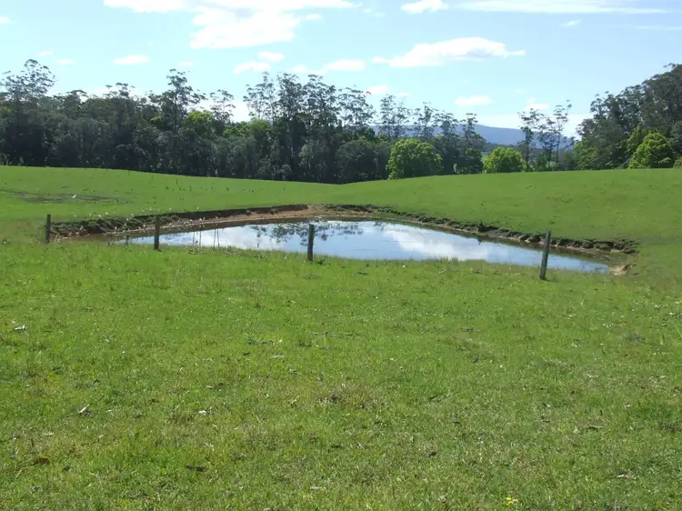 Seventh view of Homely rural property listing, Lot 220 Mardells Road, Bucca, Coffs Harbour NSW 2450