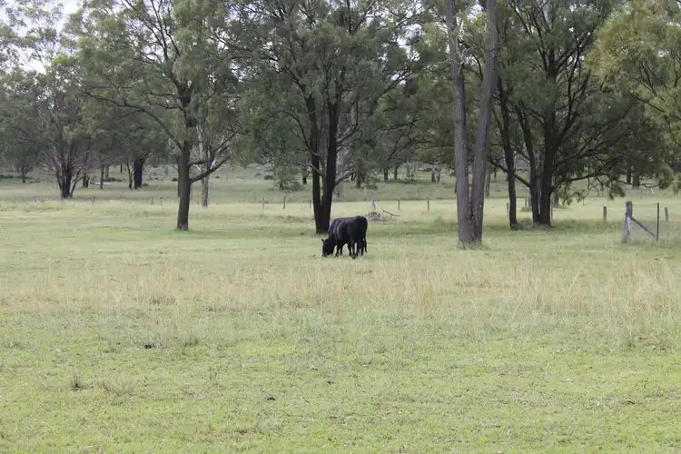 Second view of Homely rural property listing, 652 Upper Wheatvale Rd St, Warwick QLD 4370