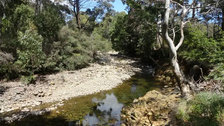 Third view of Homely rural property listing, 258 Hop Valley Road, Blackwood Creek TAS 7301