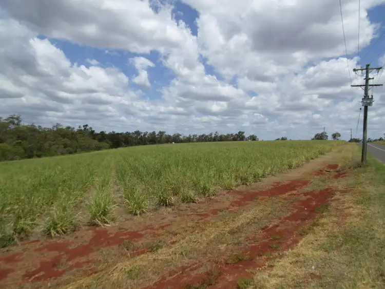 Sixth view of Homely rural property listing, 417 & 345 Kevin Livingston Drive, Isis central QLD 4660