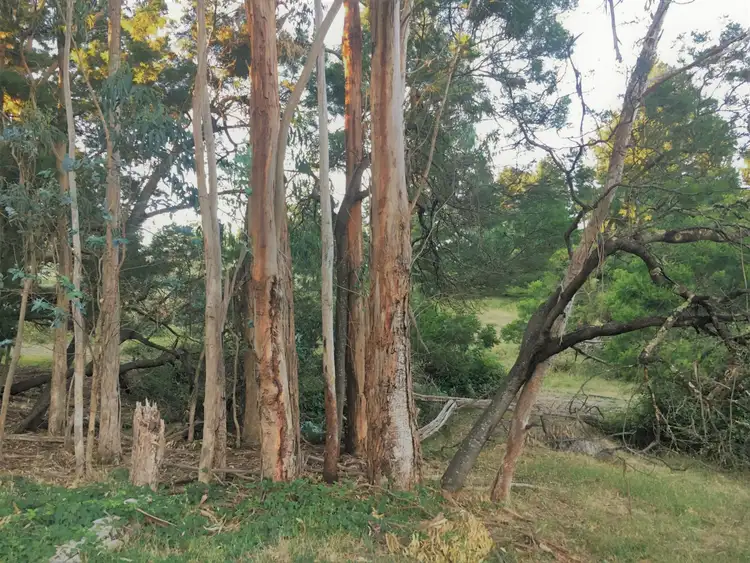 Sixth view of Homely land listing, Address available on request