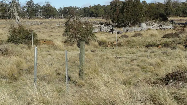 Second view of Homely house listing, 73 Willburville Street, Arthurs Lake TAS 7030