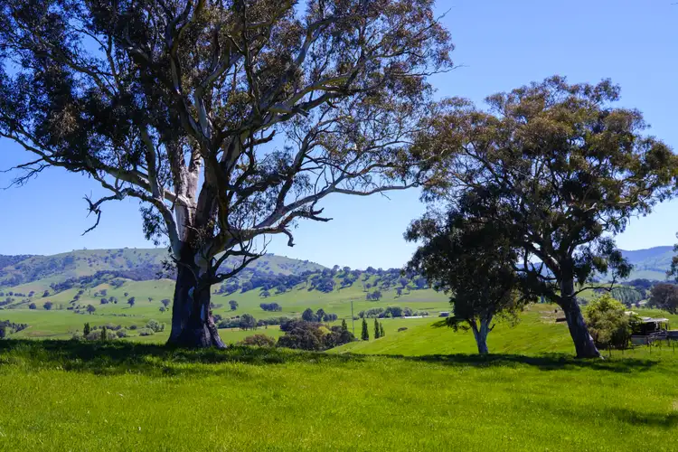 Sixth view of Homely rural property listing, 8029 Murray Valley Hwy, Bullioh VIC 3700