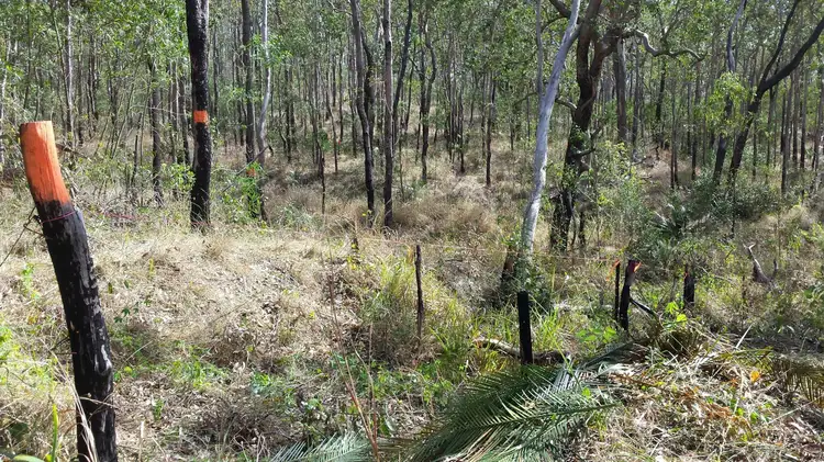 Third view of Homely land listing, 245 Struck Oil Road, Struck Oil QLD 4714