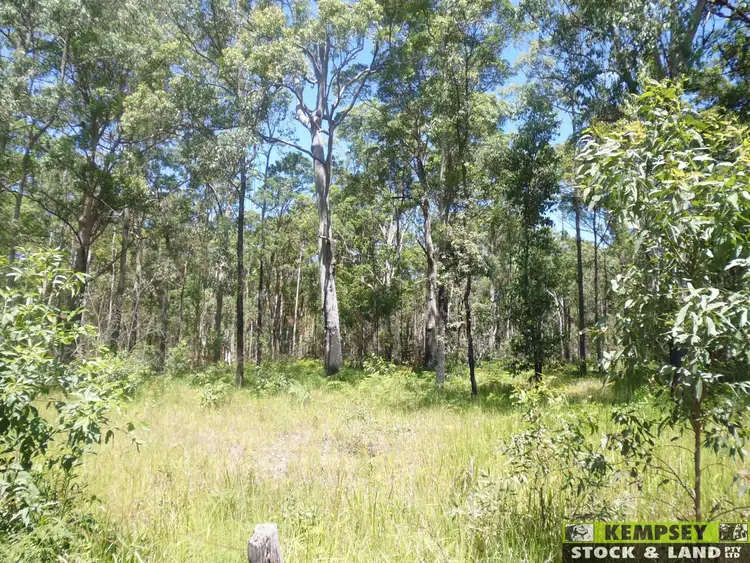 Sixth view of Homely rural property listing, . Seale Road, Belmore River NSW 2440