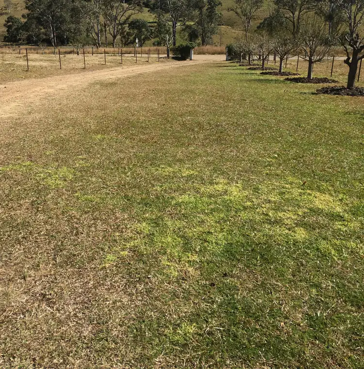 Sixth view of Homely rural property listing, 84 Pitlochry Rd, Back Creek NSW 2422