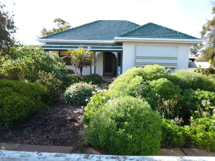 Main view of Homely house listing, 39 Dorothy Street, Port Pirie SA 5540