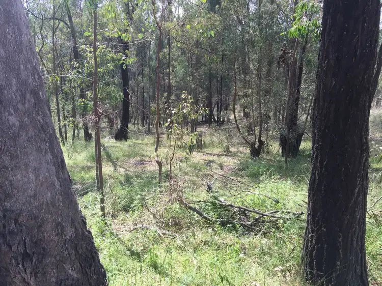 Seventh view of Homely rural property listing, 2709 Glen Alice Road, Rylstone NSW 2849
