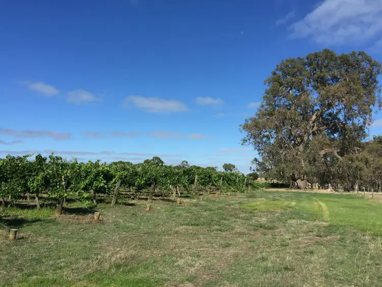 Main view of Homely rural property listing, 67 East Settlement Road, Naracoorte SA 5271