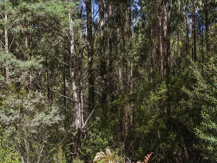 Sixth view of Homely land listing, 36587/1 Oigles Road, Geeveston TAS 7116